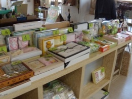 http://www.kagoshima-miraikan.jp/mirai/