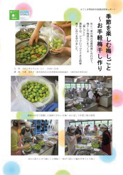 「季節を楽しむ梅しごと～お手軽梅干し作り～」開催レポート