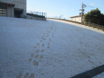 未来館積雪5