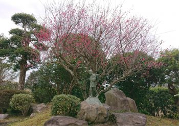 ウメと二宮金次郎