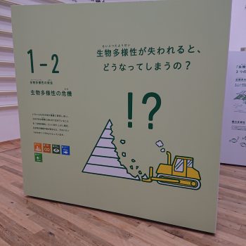 読書の秋に