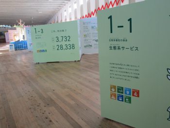 SDGs週間