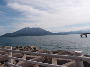 与次郎ヶ浜長水路のクラゲ