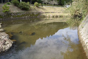 小水力発電所の見学から