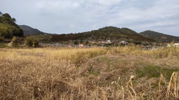 懐かしの里地里山