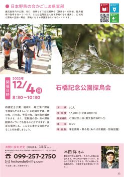 野鳥の会共育講座