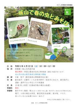 城山で春の虫とあそぼう(4/22)