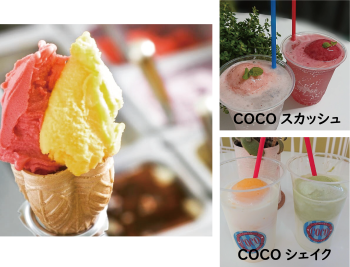 城西マルシェ出店者　イタリアンジェラートCOCO
