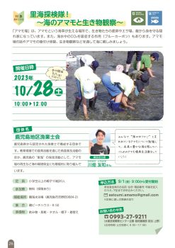 【申込終了】里海探検隊！～海のアマモと生き物観察～(10/28)