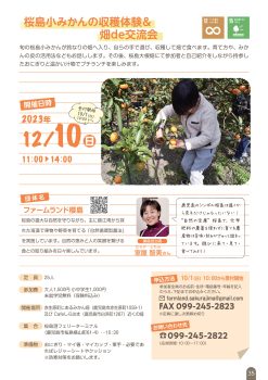 【申込終了】桜島小みかんの収穫体験＆畑de交流会(12/10)