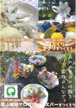 しいたけをつくろう(1/14)