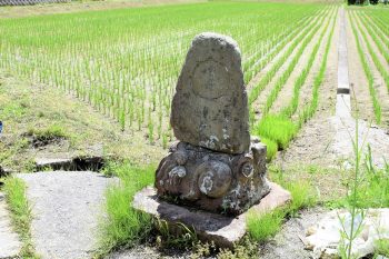 田んぼを見守る田の神様