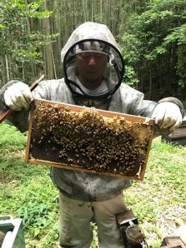 養蜂家の写真
