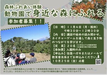 イベントチラシ