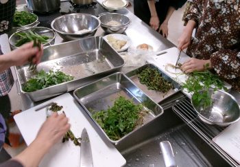 春の野草
