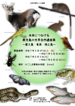 ミニ企画展　鹿児島の世界自然遺産展(4/29～5/16)