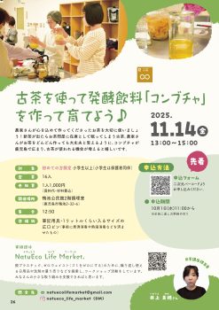 古茶を使って発酵飲料「コンブチャ」を作って育てよう♪(11/14)