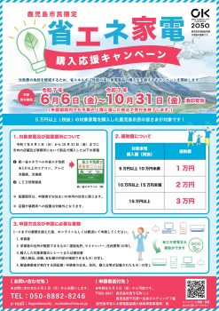 書エネ家電購入補助金チラシ