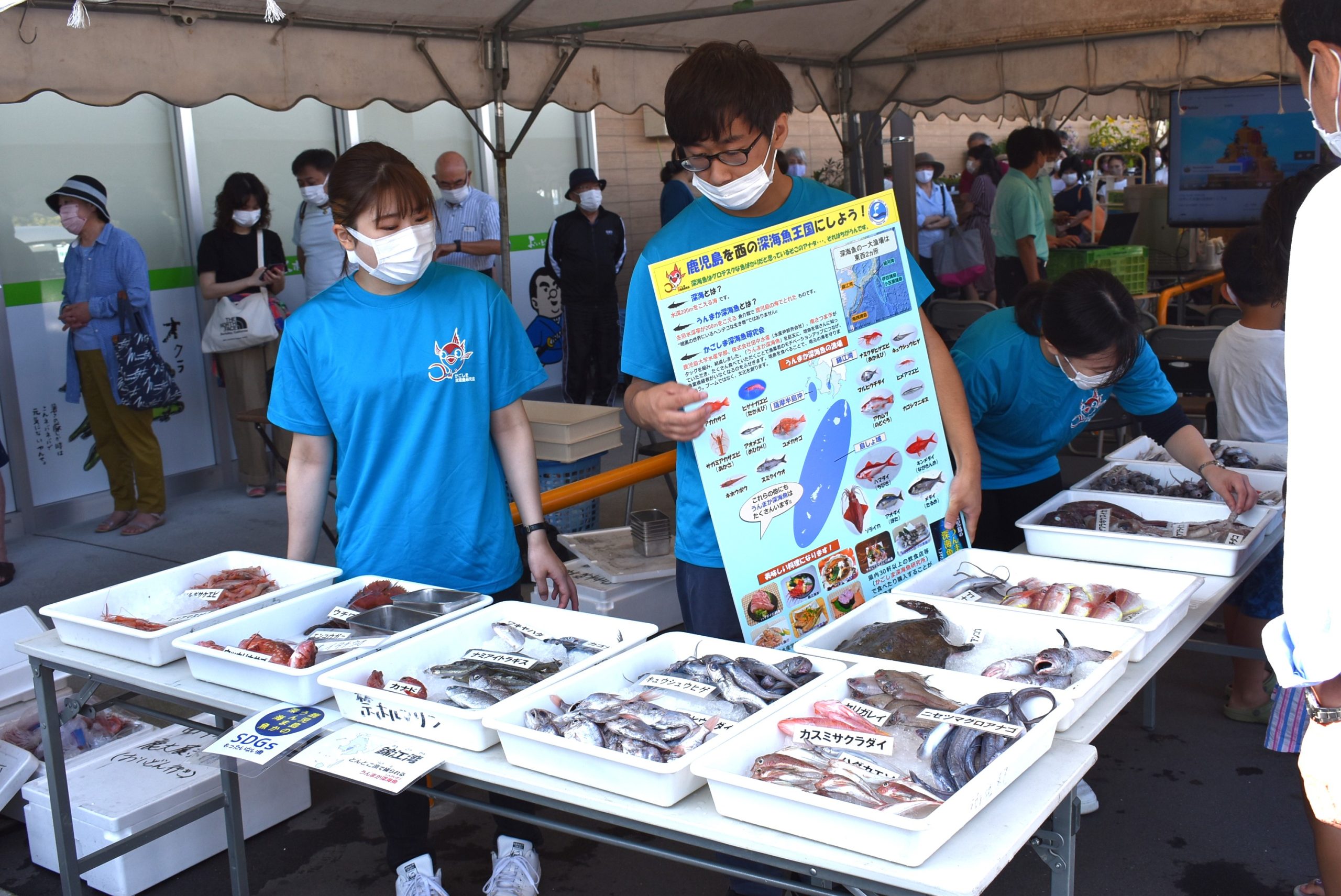 かごしま深海魚研究会登録団体紹介カード