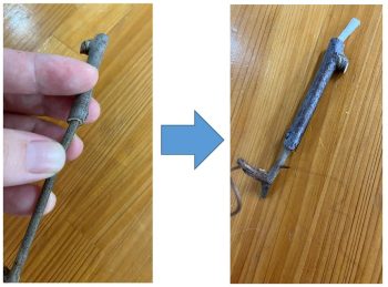 キブシの髄を取る様子