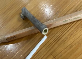 髄を取ったあとのキブシ