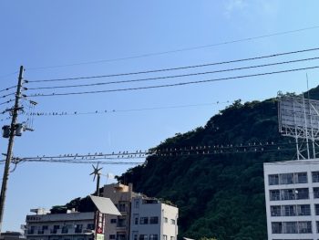 整列！