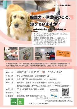 保護犬・保護猫のこと、知っていますか？(11/30)