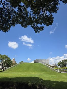 未来館の木