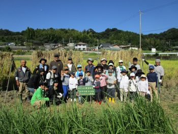 田んぼ1012