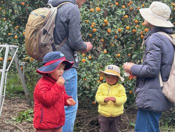 スタッフブログ1217