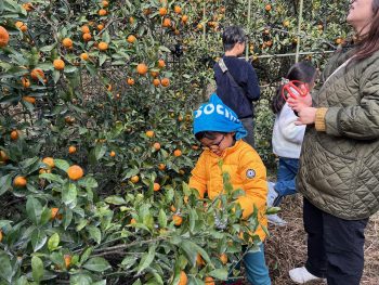 スタッフブログ1217