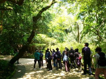 鹿児島の歴史を見守った城山の森ウォッチング(4/16)