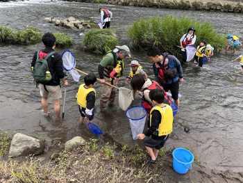 甲突川のいきものウォッチング(5/10)