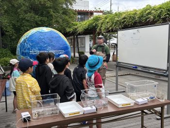 いきものウォッチング振り返り