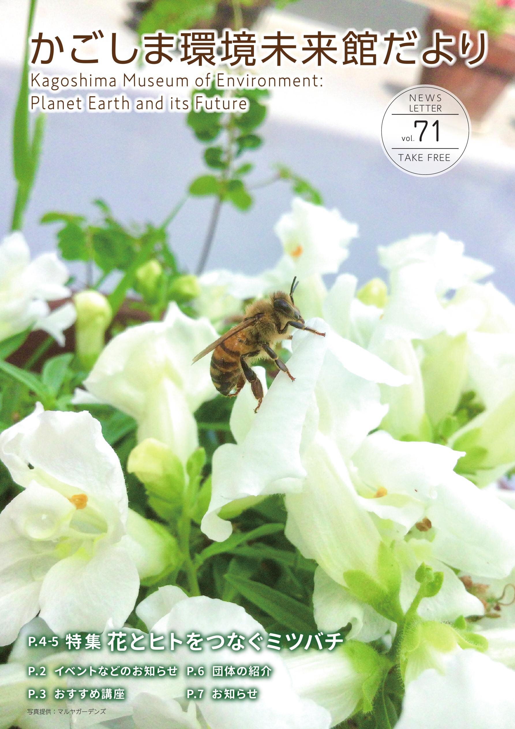 かごしま環境未来館だより71号