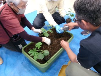 緑のカーテン実践塾(5/23)