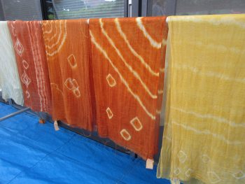 キッチンでできる草木染め(6/3)