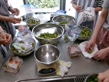 季節を楽しむ梅しごと(5/30)