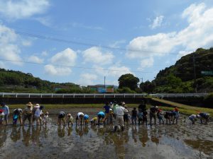 田んぼの学校を通して